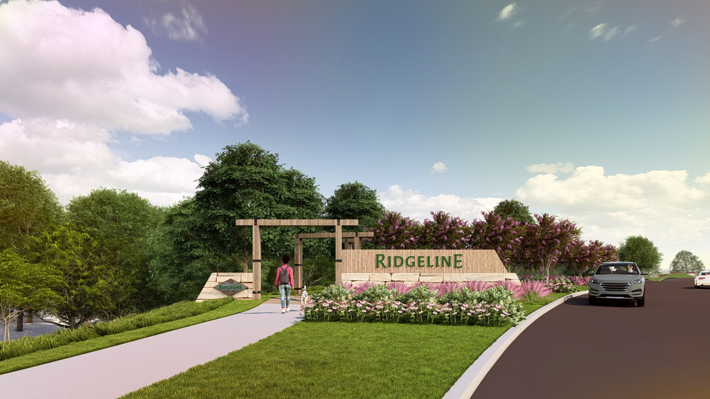 Project gallery image 11