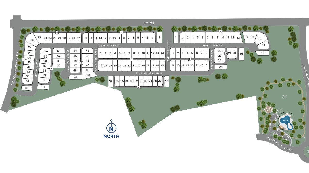 Bridges at Preston Crossings site plan