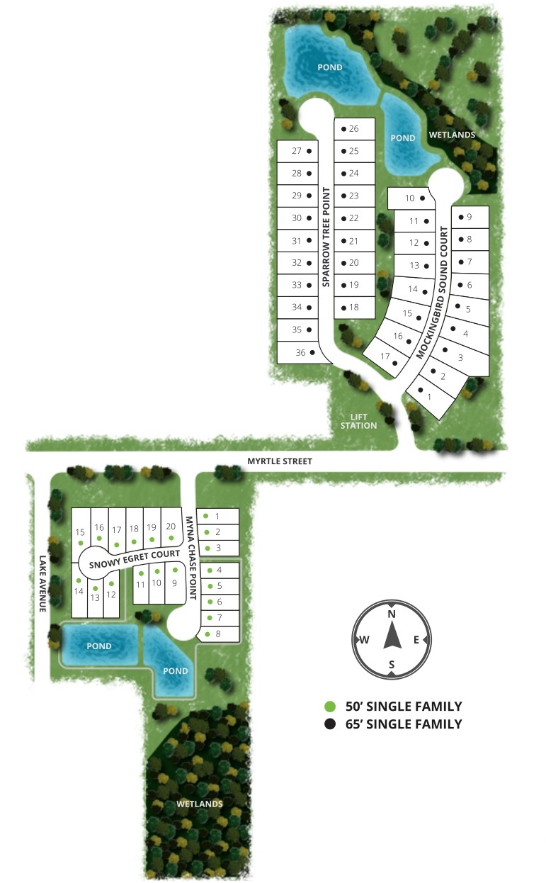 The Estates at Lake Jesup site plan