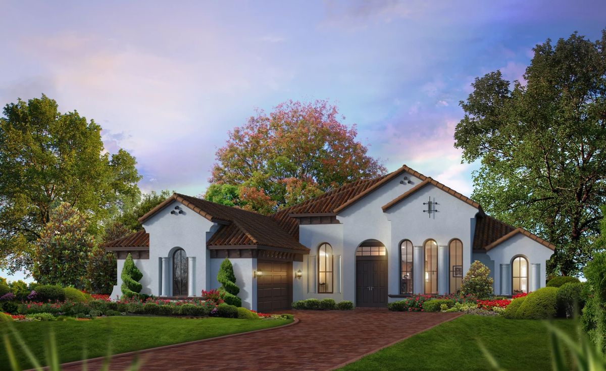 Project gallery image 6