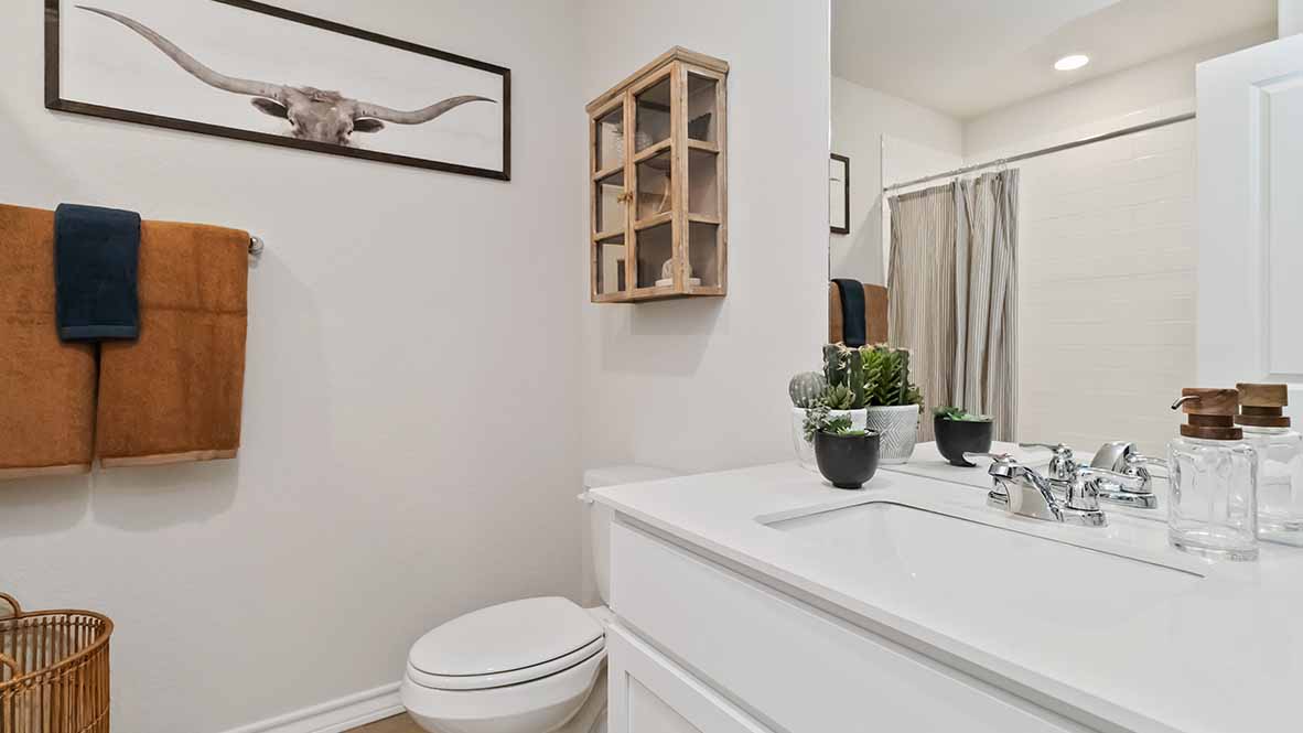 Project gallery image 11