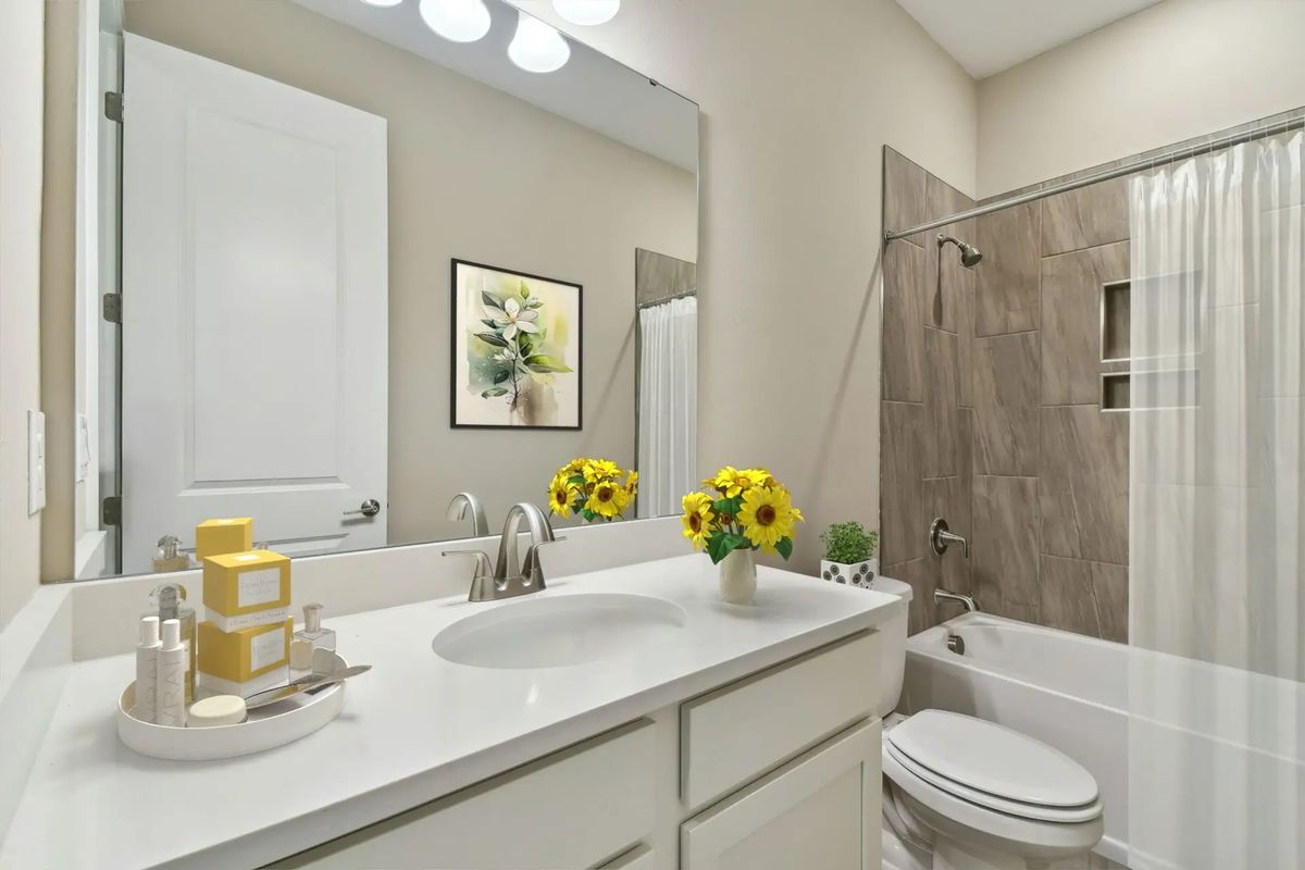 Project gallery image 11