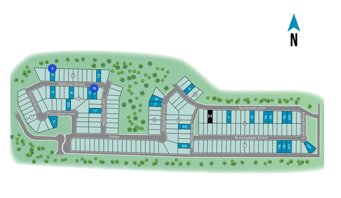 Sunflower Ridge site plan
