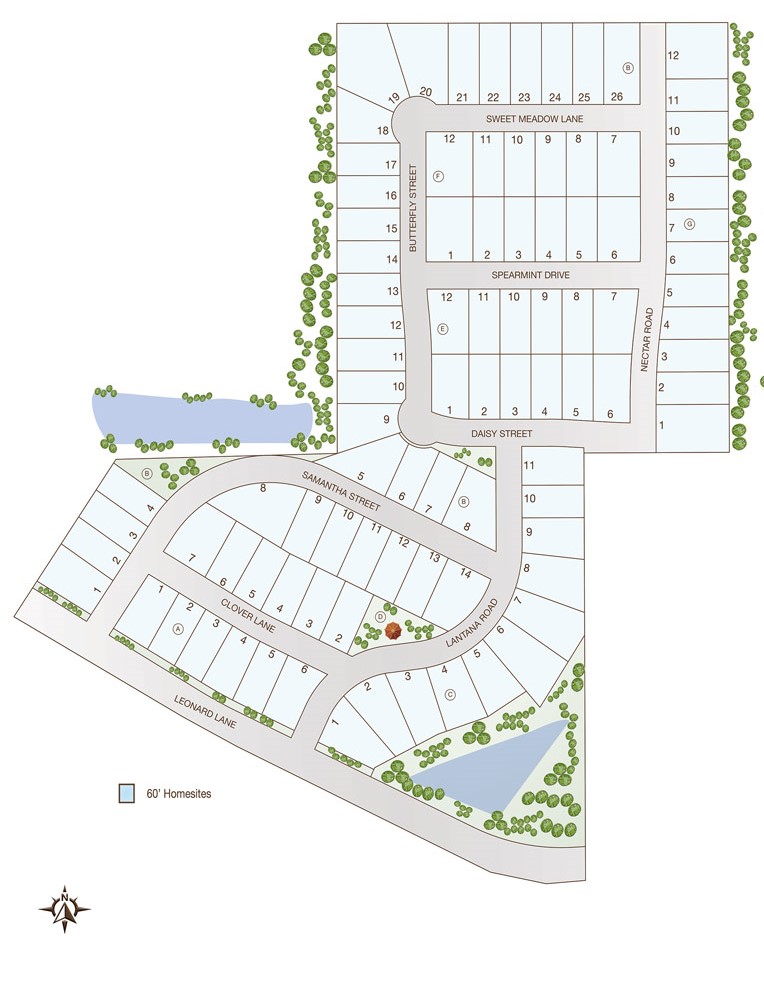 Grand Estates of Anna site plan