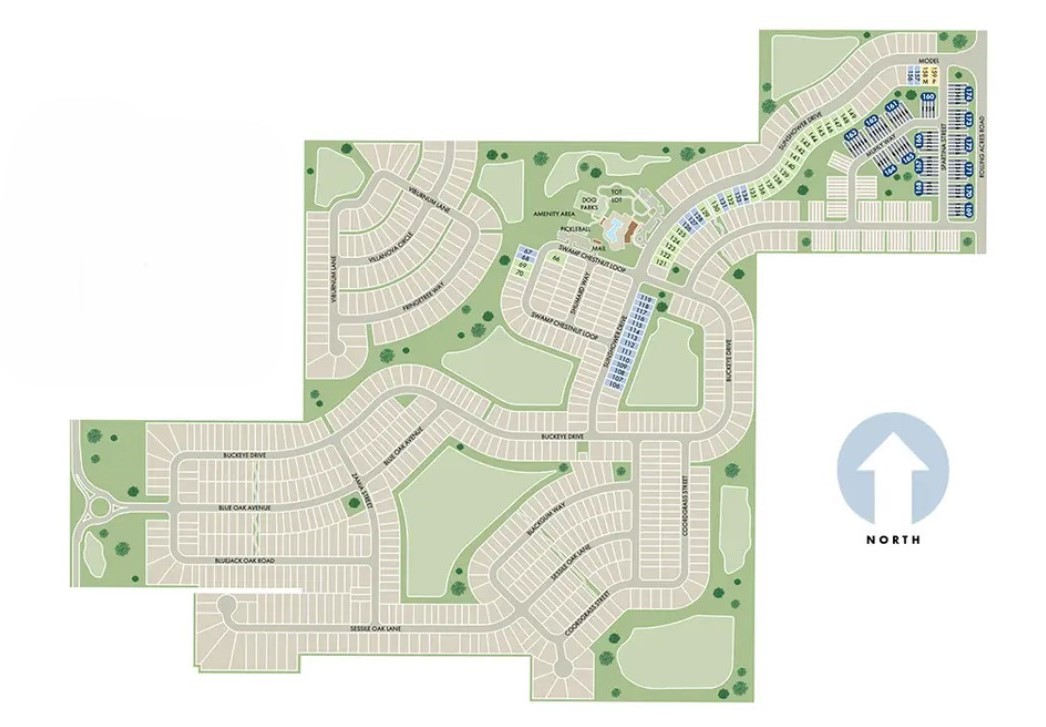 The Reserve at Hammock Oaks Townes site plan
