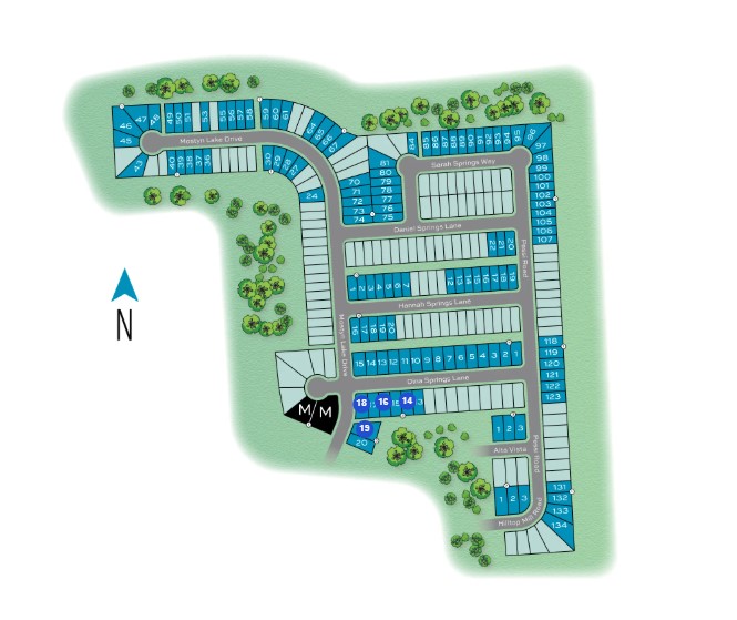 Mostyn Springs site plan