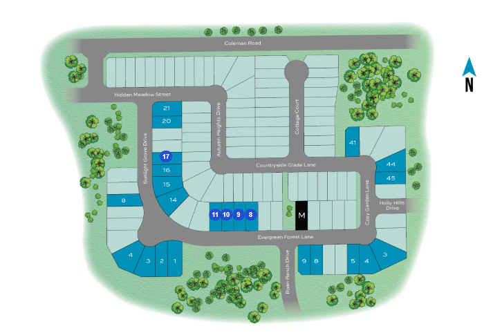 Aldeana site plan