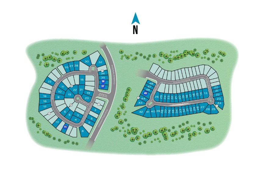 The Woodlands Hills site plan