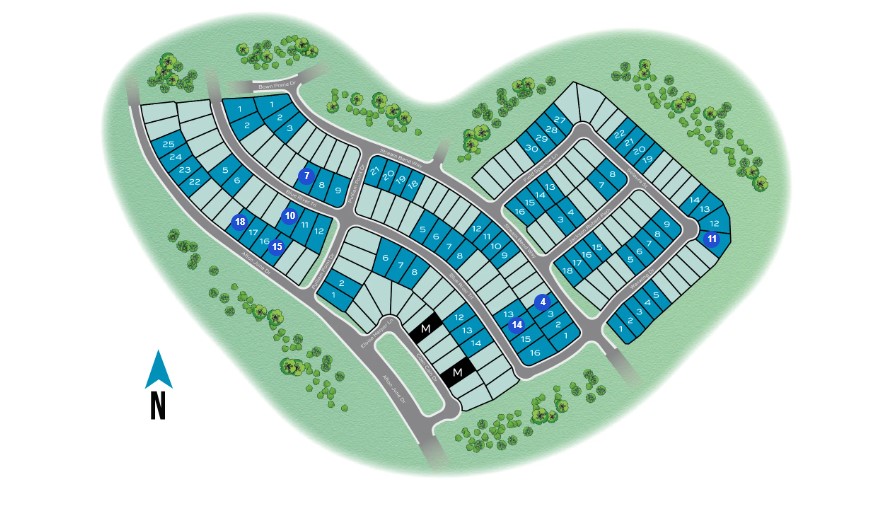 Brookewater site plan