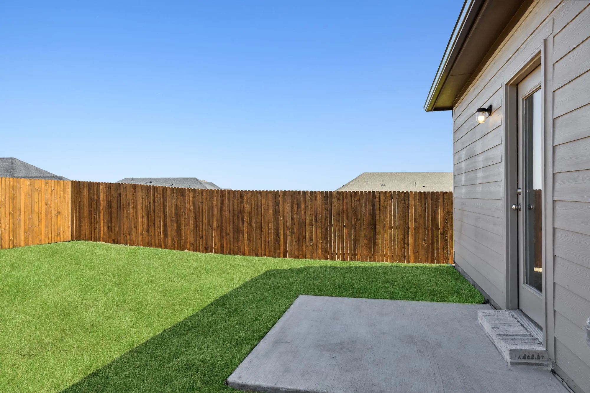 Texas Tree Series - Lot 40 — collection image