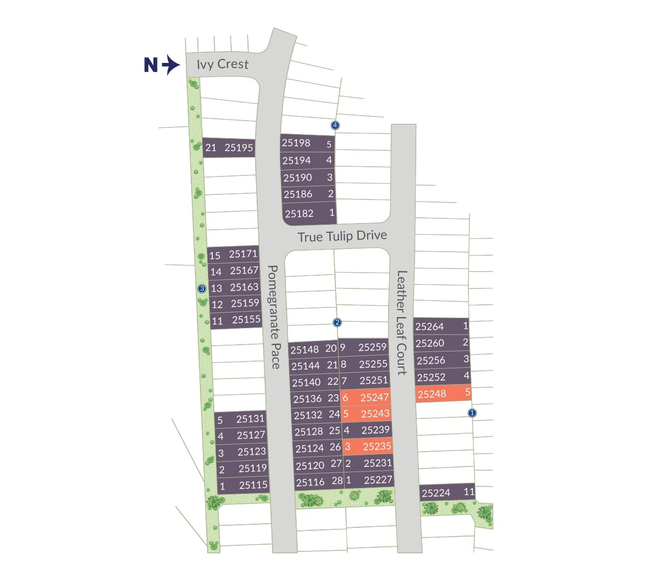 Magnolia Springs site plan