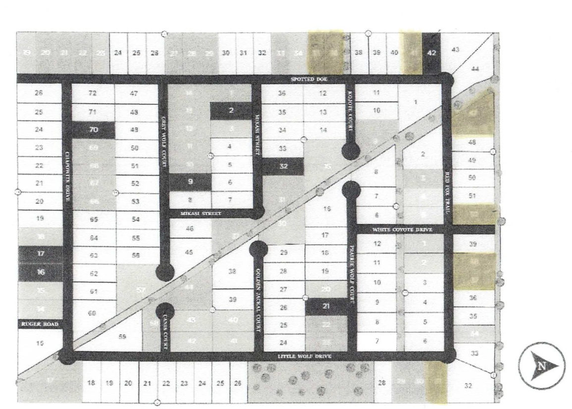 Coyote Crossing site plan