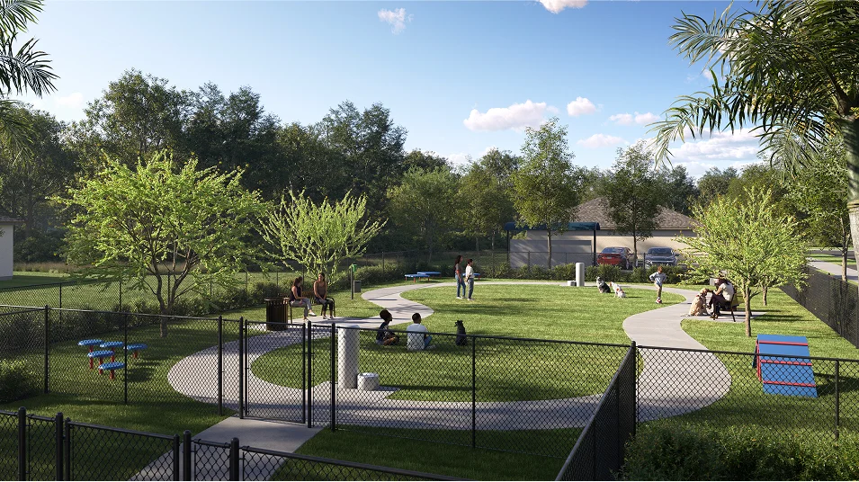 Project gallery image 6