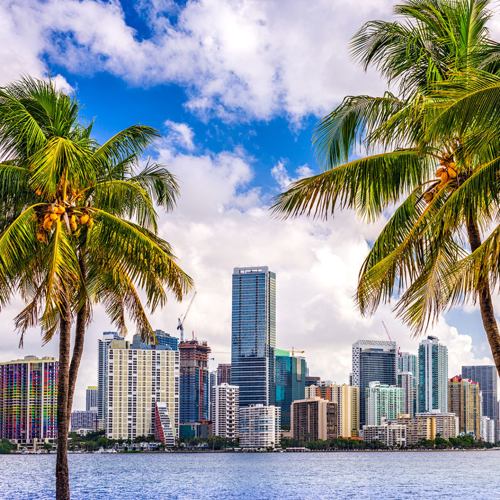 The beginning of a New Life in Miami