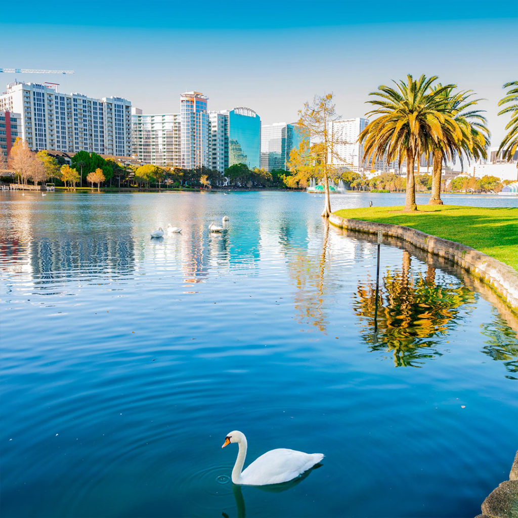 Florida: Your New Home Awaits You