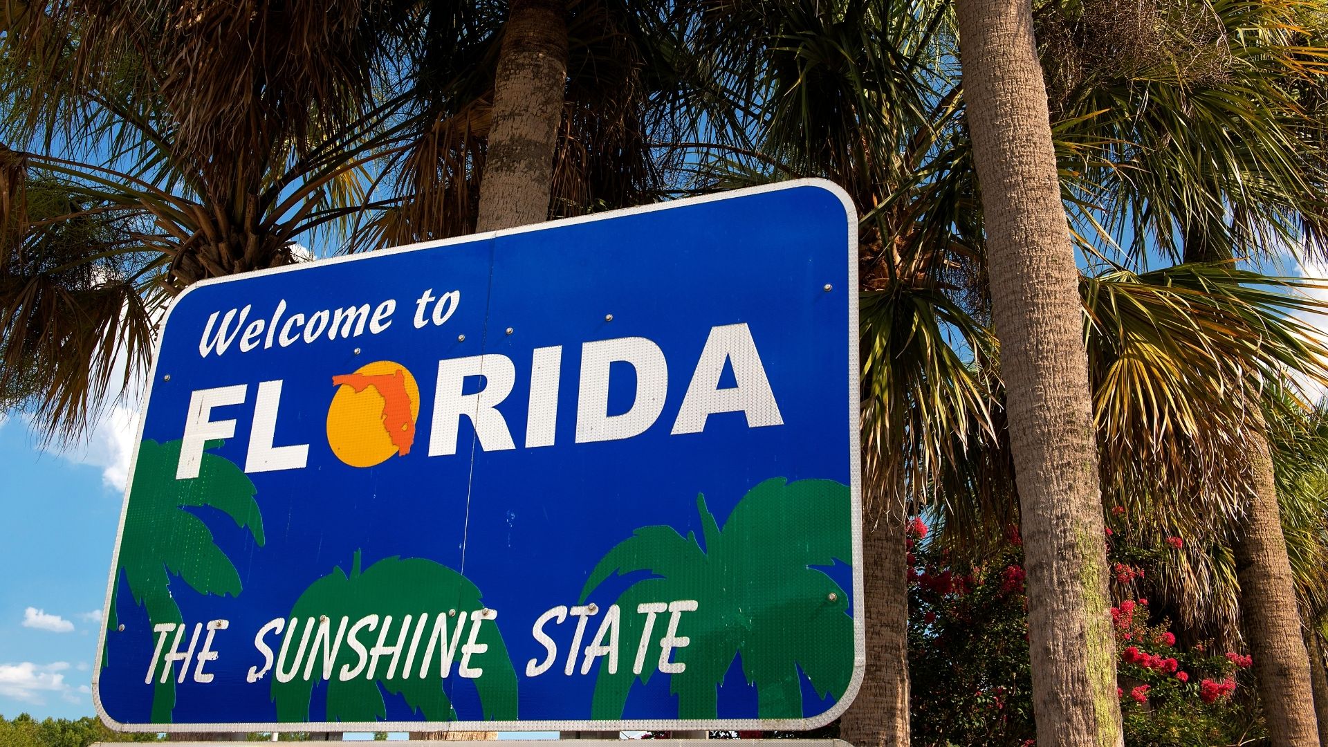Florida: Your New Home Awaits You