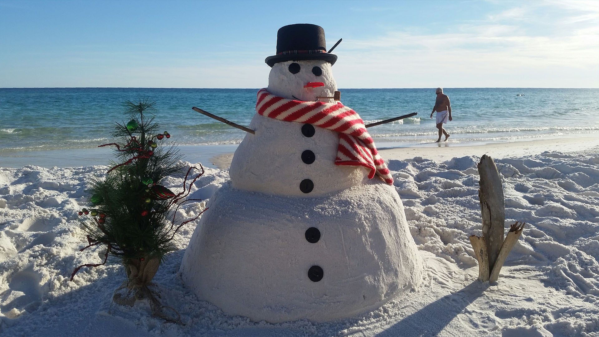 Winter in Florida: Directions for Use