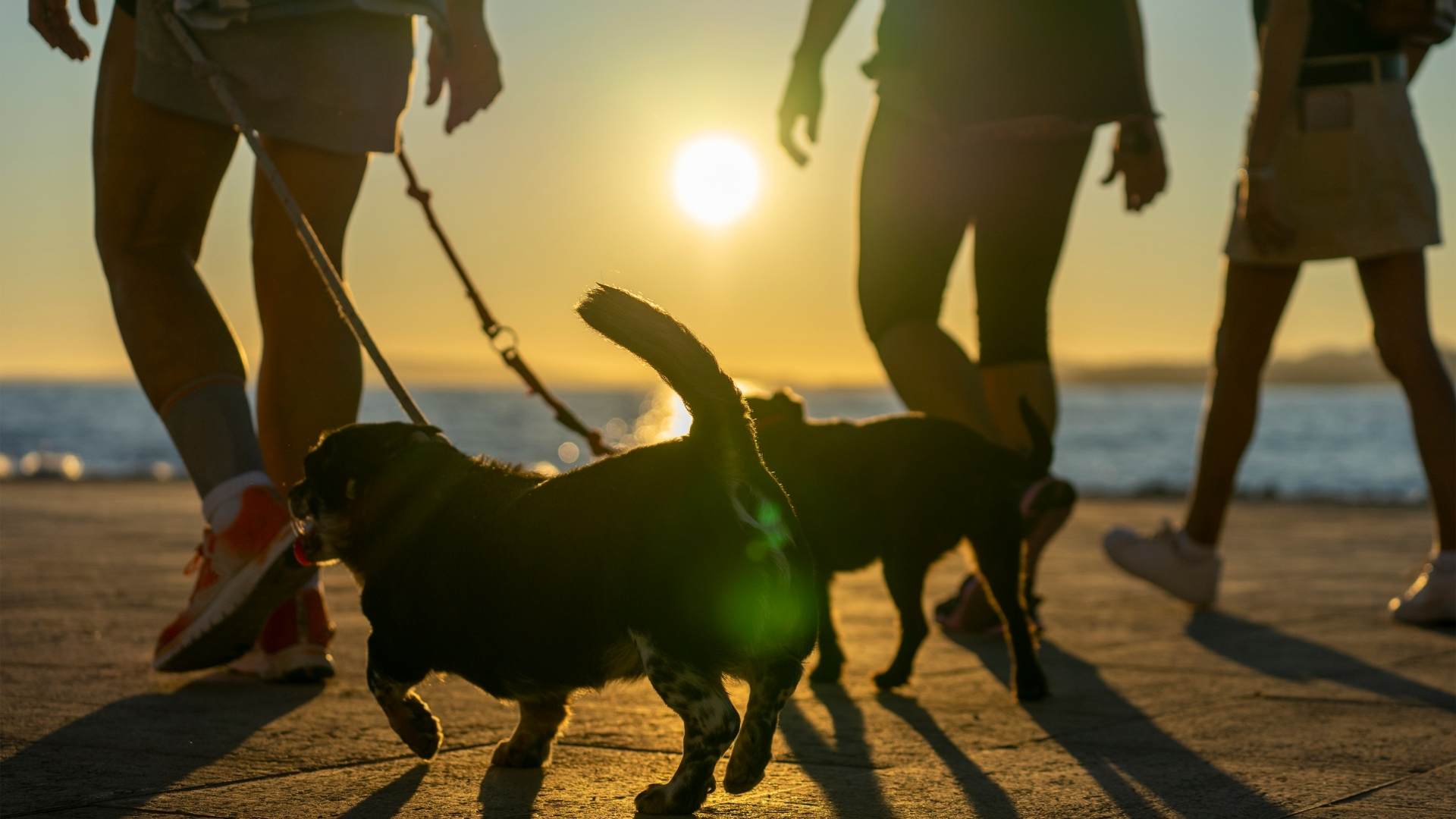 The 9 benefits of living in a 55+ community in Florida