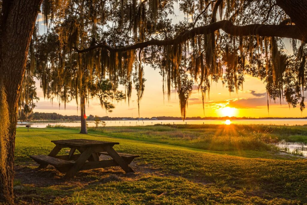 The 10 hidden attractions worth visiting in Florida