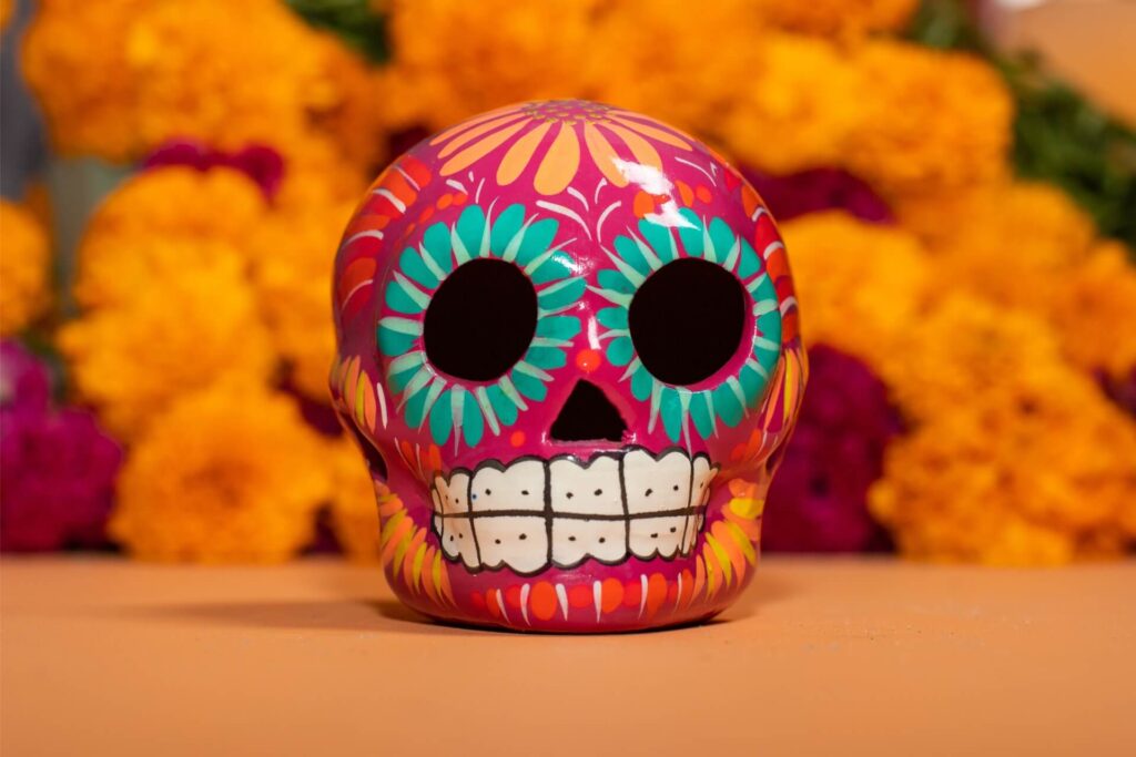 The best events in November in Florida