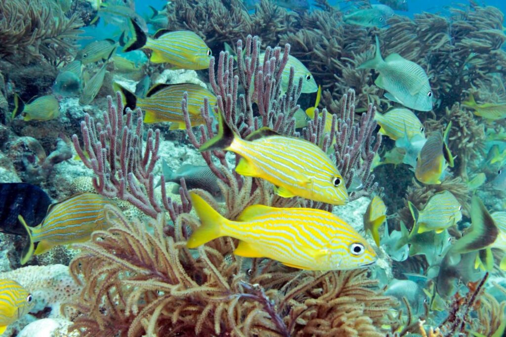 The 10 hidden attractions worth visiting in Florida