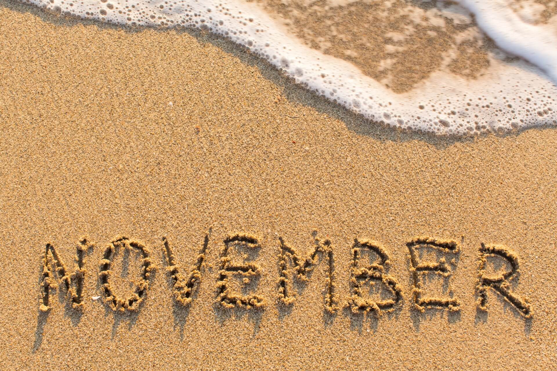 The best events in November in Florida