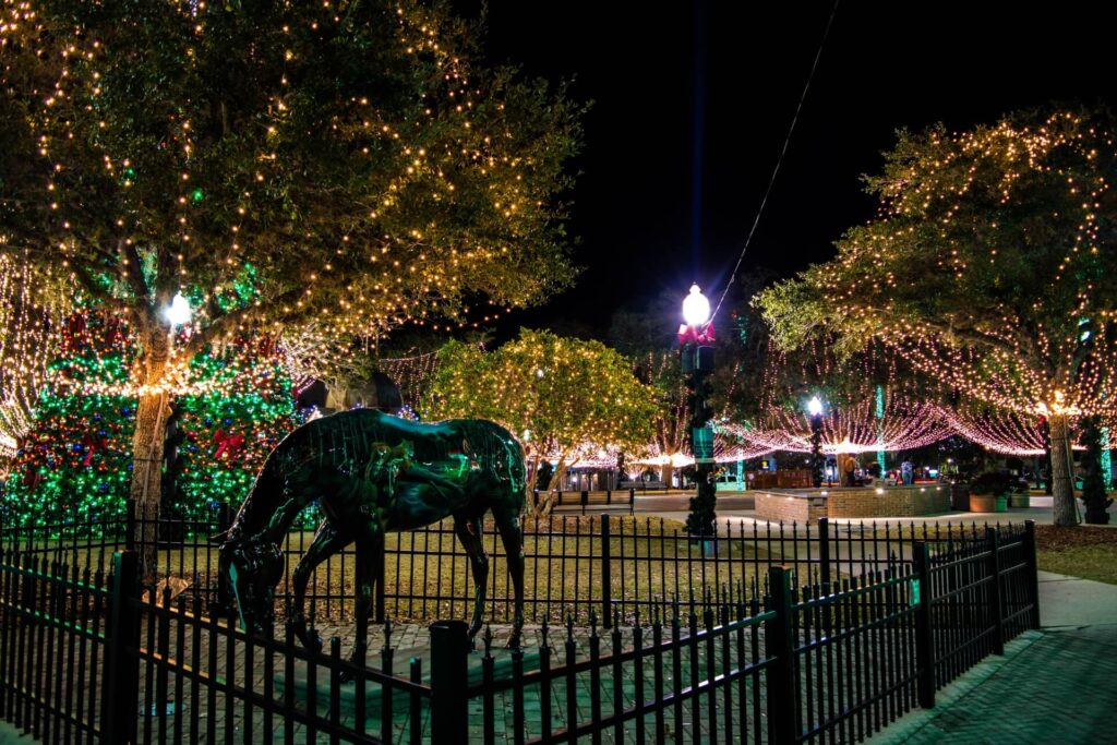 The best events in November in Florida