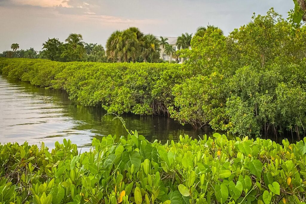 Top 5 outdoor activities to do in Punta Gorda